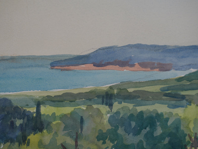 Salomon Alfred BOISECQ : Les vignes vue sur mer, Aquarelle originale signée