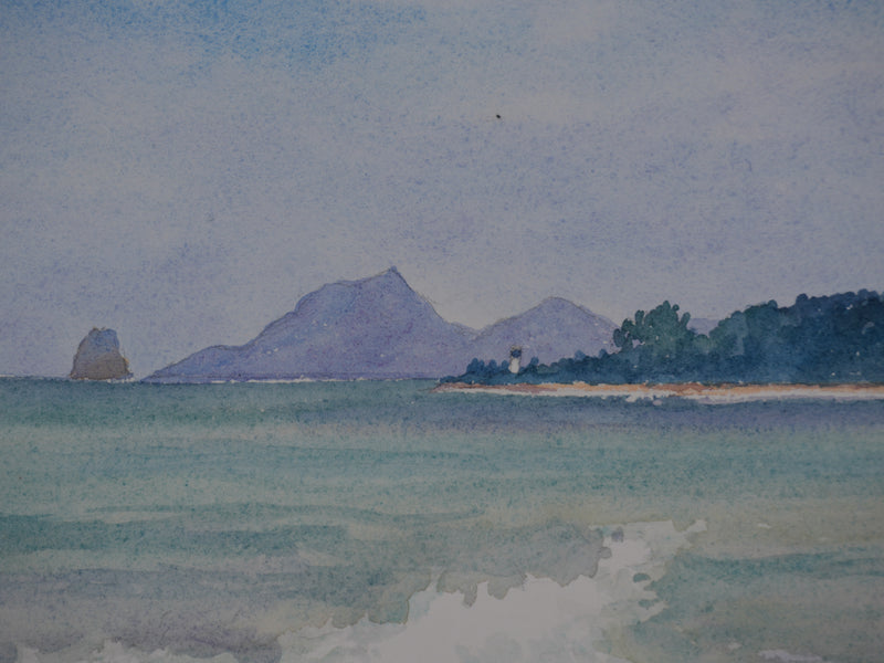 Salomon Alfred BOISECQ : Martinique, Plage des Salines, Aquarelle originale signée