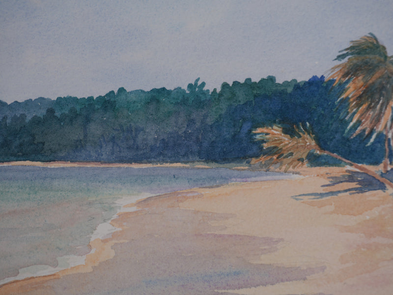 Salomon Alfred BOISECQ : Martinique, Plage des Salines, Aquarelle originale signée