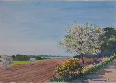 Salomon Alfred BOISECQ : Champ dans le Morbihan, Aquarelle originale signée