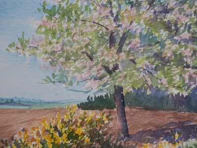 Salomon Alfred BOISECQ : Champ dans le Morbihan, Aquarelle originale signée