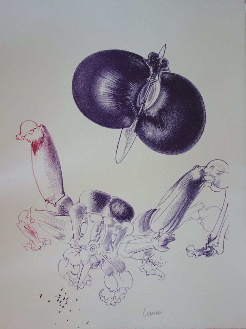 François LUNVEN : Insectiforme, Lithographie originale (vue générale) - Crédit photo : Galerie Art.Paris