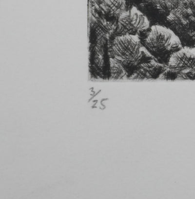 Camille COMBE : Le château de l'Alhambra, Gravure originale signée