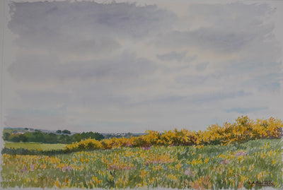 Salomon Alfred BOISECQ : Paysage champêtre, Aquarelle originale signée