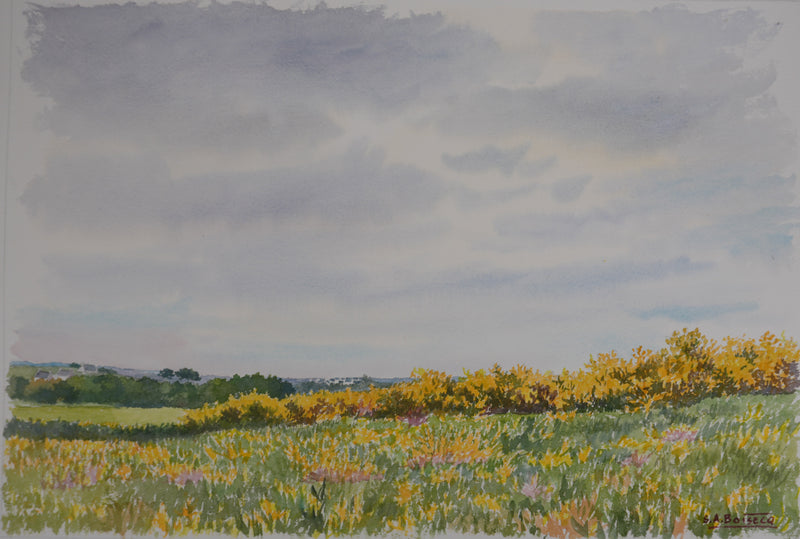 Salomon Alfred BOISECQ : Paysage champêtre, Aquarelle originale signée