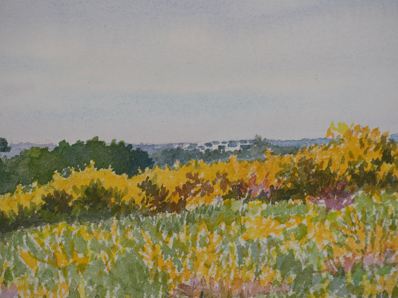 Salomon Alfred BOISECQ : Paysage champêtre, Aquarelle originale signée
