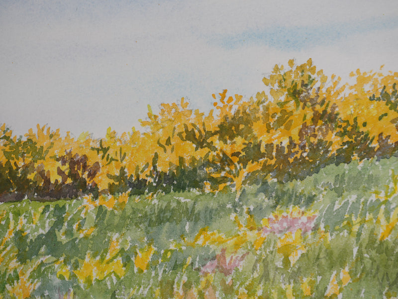 Salomon Alfred BOISECQ : Paysage champêtre, Aquarelle originale signée