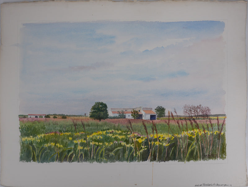 Salomon Alfred BOISECQ : Bergerie en Provence, Aquarelle originale (vue générale) - Crédit photo : Galerie Art.Paris