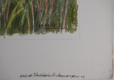 Salomon Alfred BOISECQ : Bergerie en Provence, Aquarelle originale (photo de détail 3) - Crédit photo : Galerie Art.Paris