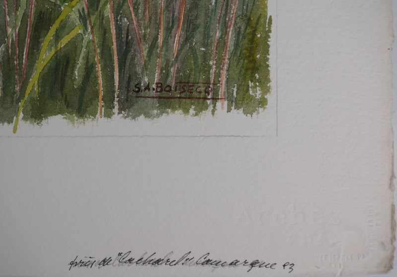 Salomon Alfred BOISECQ : Bergerie en Provence, Aquarelle originale (photo de détail 3) - Crédit photo : Galerie Art.Paris