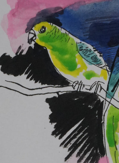 Maurice GENIS : Les perruches, Dessin original signé