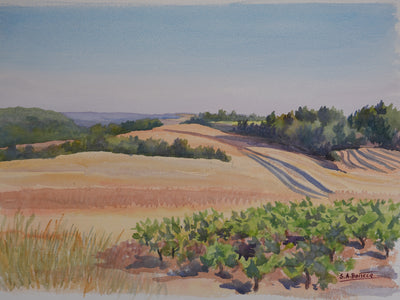 Salomon Alfred BOISECQ : Paysage du Verdon, Aquarelle originale signée