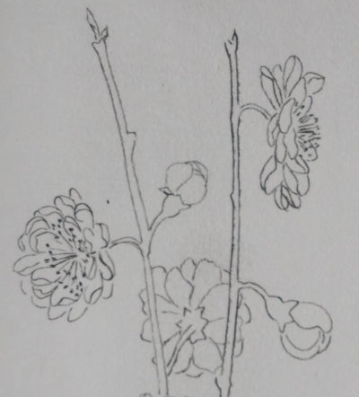 Camille COMBE : L'avant printemps, Gravure originale signée