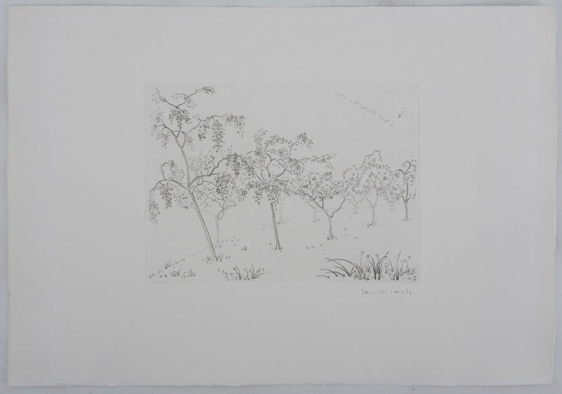 Camille COMBE : Les arbres fruités, Gravure originale signée