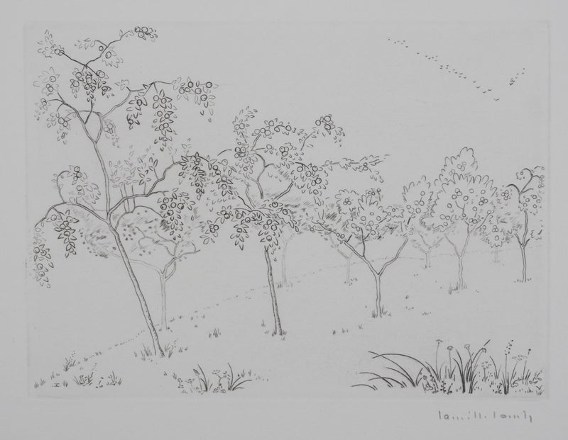Camille COMBE : Les arbres fruités, Gravure originale signée