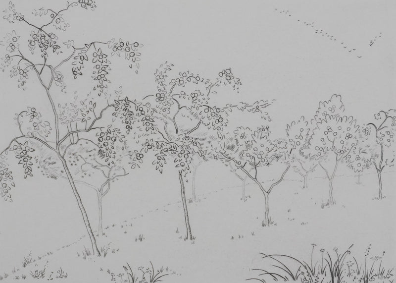 Camille COMBE : Les arbres fruités, Gravure originale signée