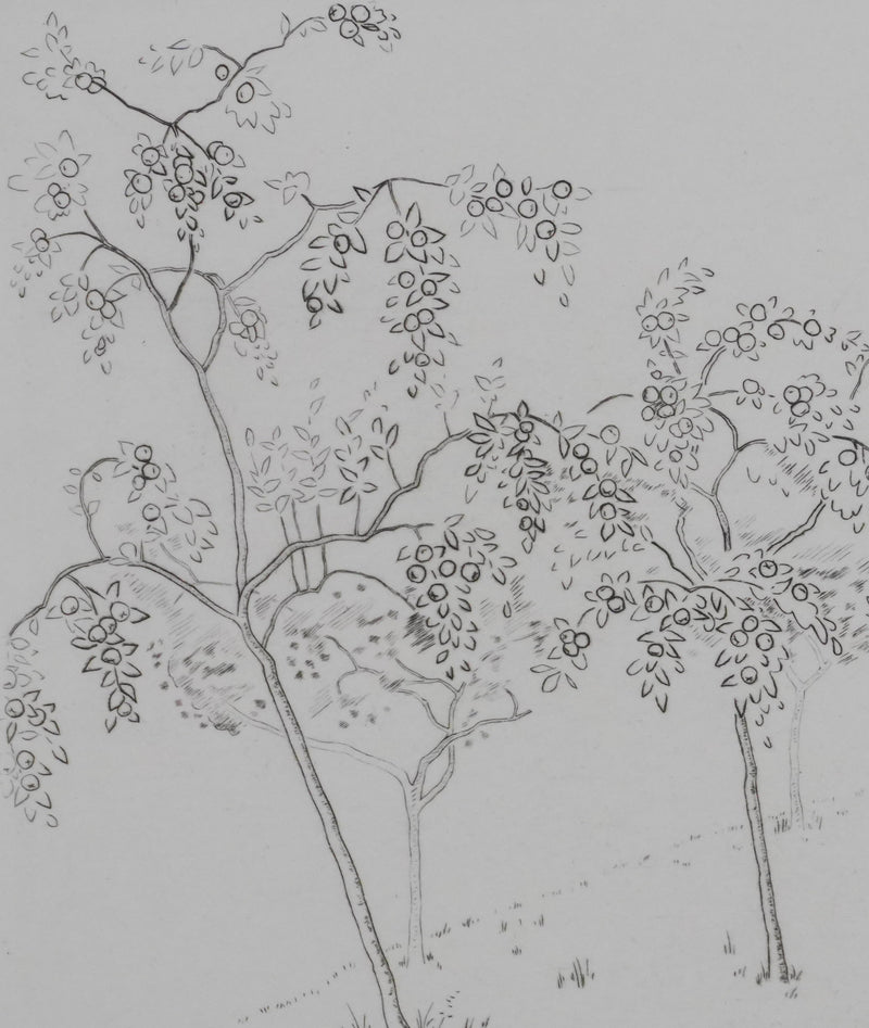 Camille COMBE : Les arbres fruités, Gravure originale signée