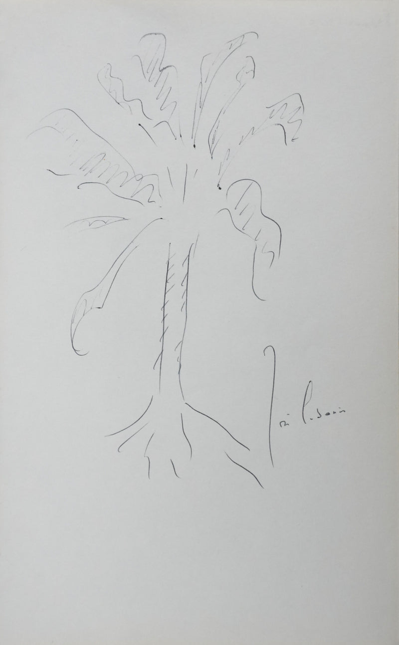 José CABANIS : La souche noire, Autographe et dessin original signé