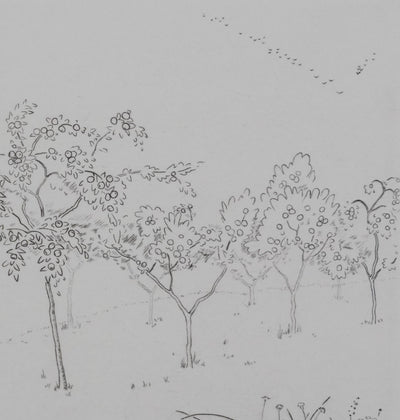 Camille COMBE : Les arbres fruités, Gravure originale signée