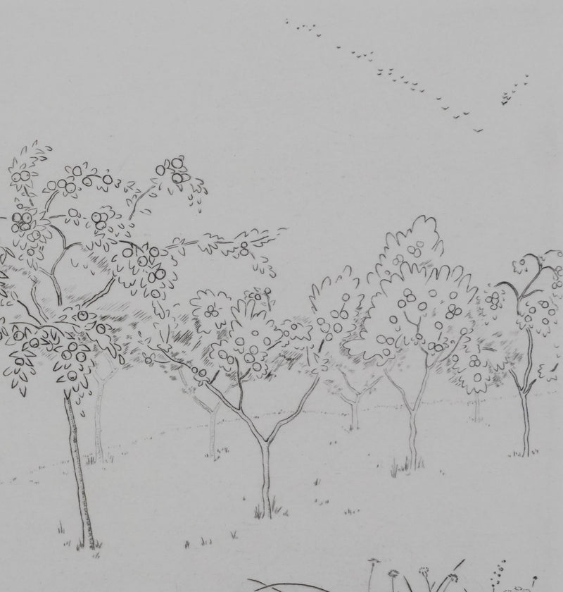 Camille COMBE : Les arbres fruités, Gravure originale signée