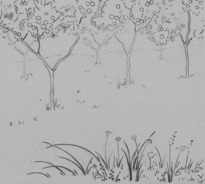 Camille COMBE : Les arbres fruités, Gravure originale signée