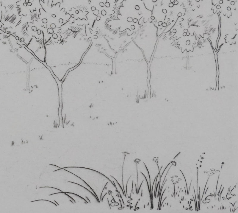 Camille COMBE : Les arbres fruités, Gravure originale signée