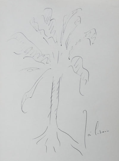 José CABANIS : La souche noire, Autographe et dessin original signé