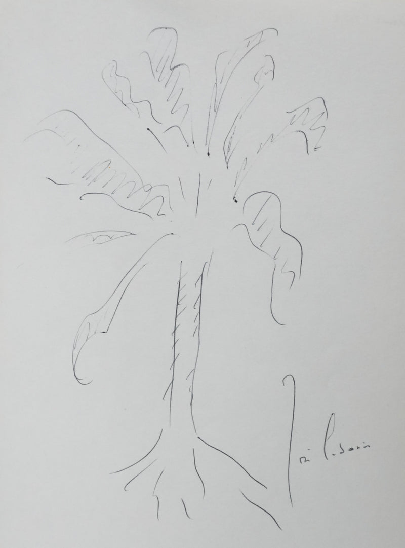 José CABANIS : La souche noire, Autographe et dessin original signé