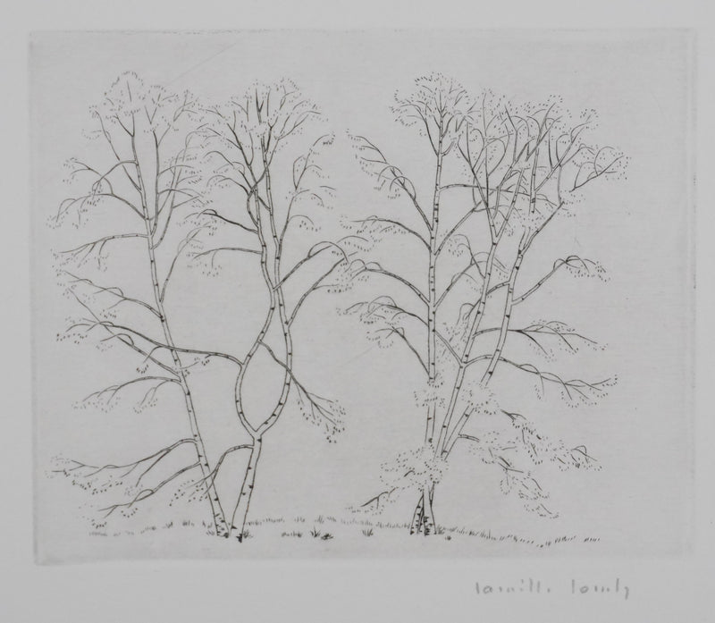 Camille COMBE : Silhouettes végétales, Gravure originale signée