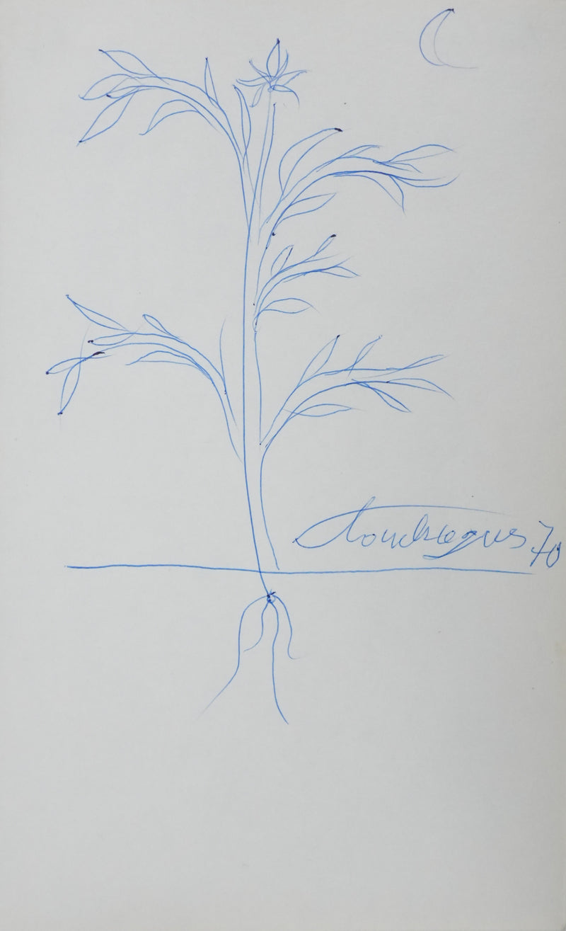 Louis TOUCHAGUES : L&