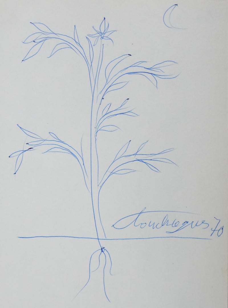 Louis TOUCHAGUES : L&