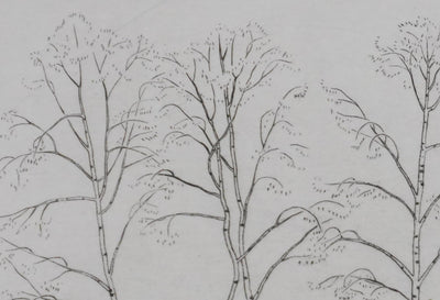 Camille COMBE : Silhouettes végétales, Gravure originale signée