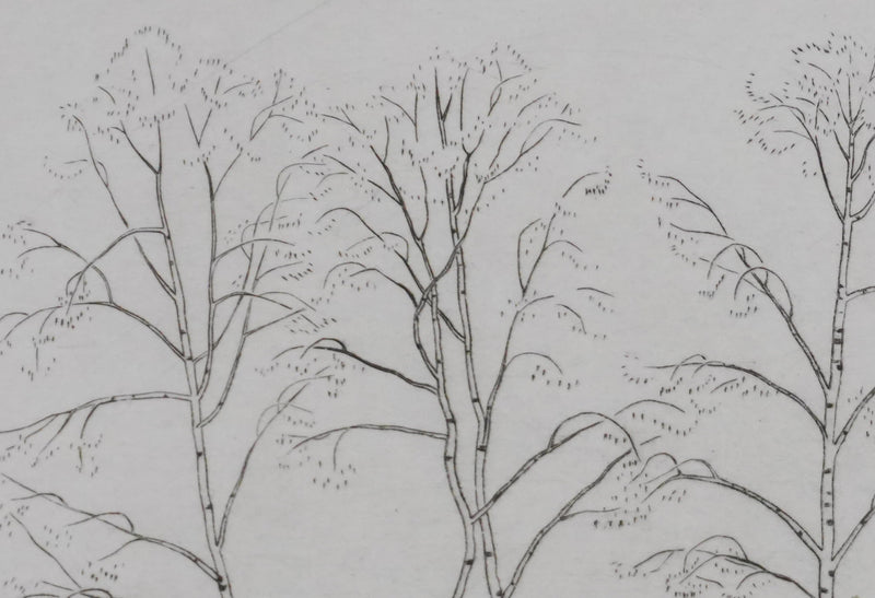Camille COMBE : Silhouettes végétales, Gravure originale signée