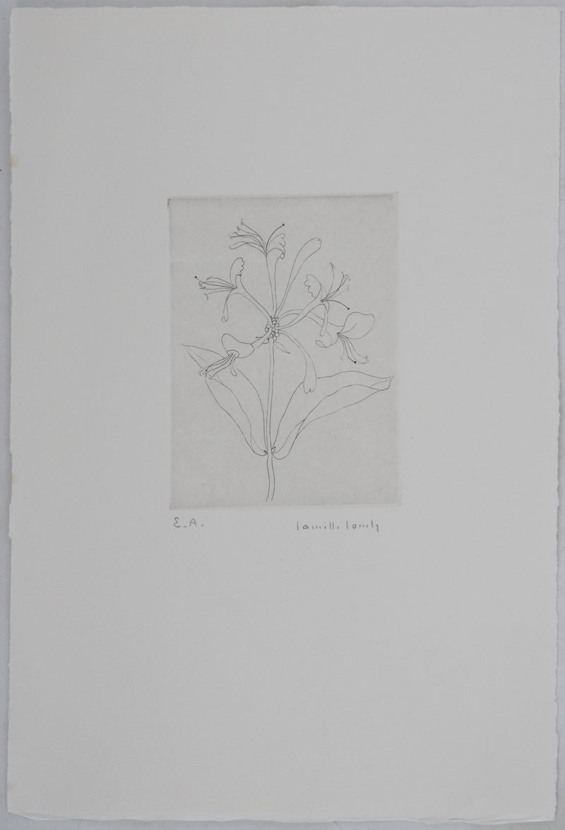 Camille COMBE : Floraison délicate, Gravure originale signée