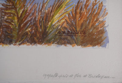 Salomon Alfred BOISECQ : Mûr-de-Bretagne dit Guerlédan, Aquarelle originale signée