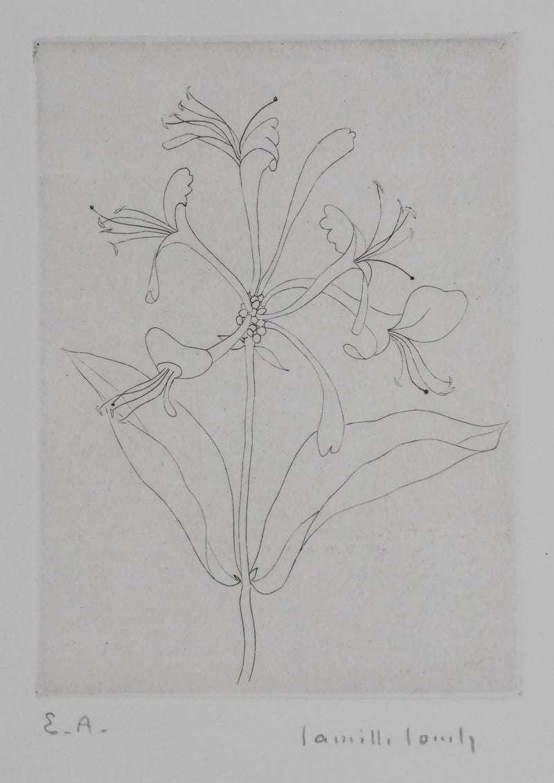 Camille COMBE : Floraison délicate, Gravure originale signée