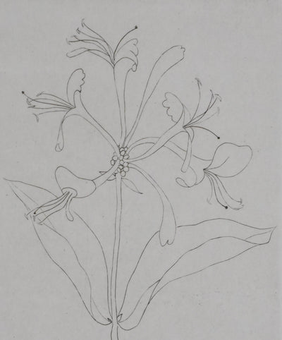 Camille COMBE : Floraison délicate, Gravure originale signée