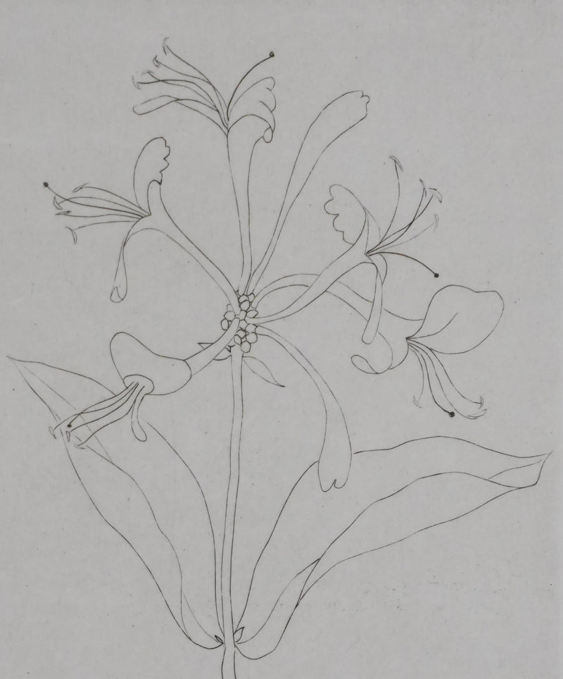 Camille COMBE : Floraison délicate, Gravure originale signée