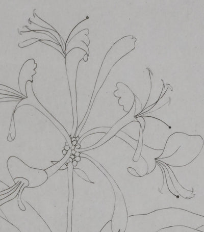 Camille COMBE : Floraison délicate, Gravure originale signée