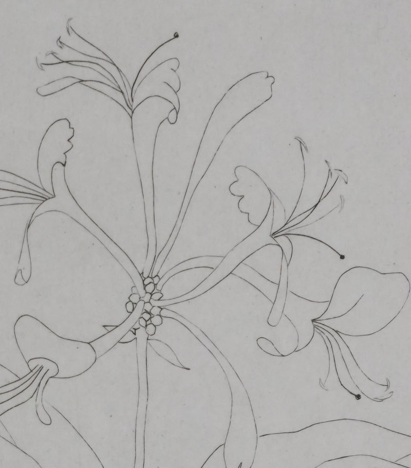 Camille COMBE : Floraison délicate, Gravure originale signée