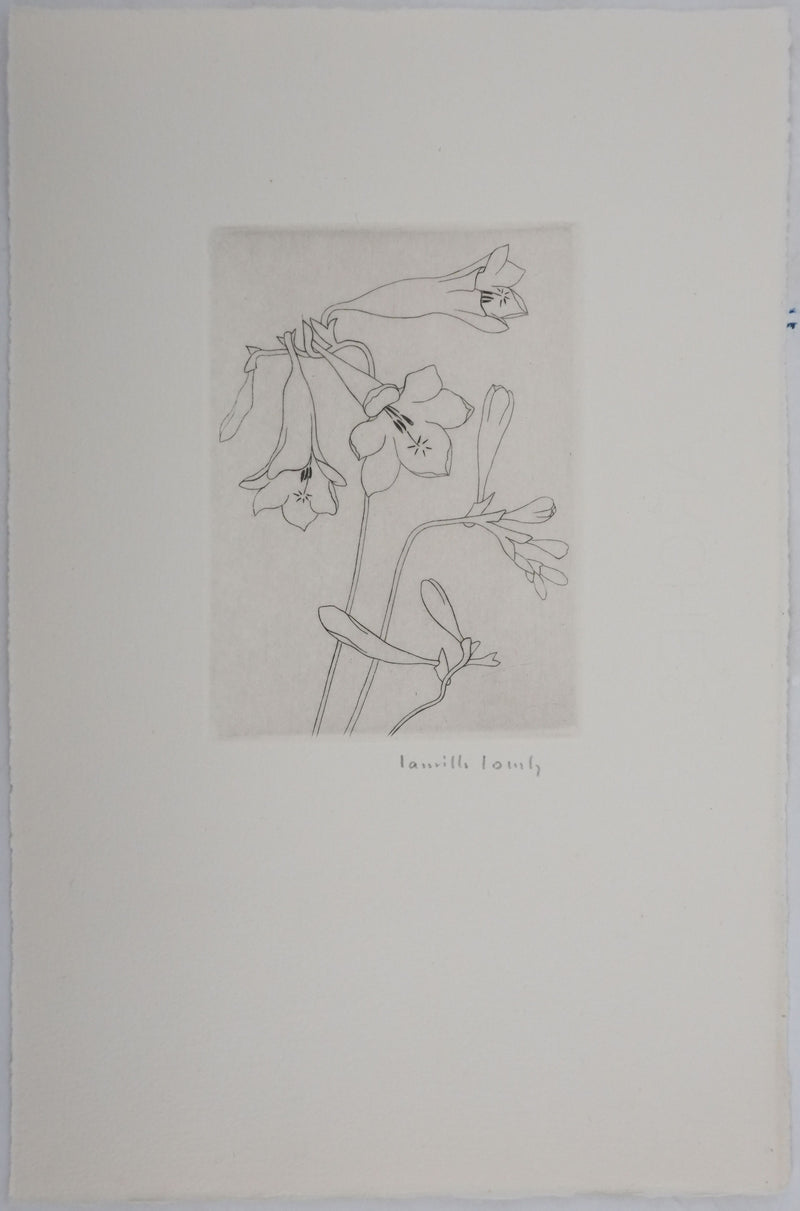Camille COMBE : Silhouette florale, Gravure originale signée