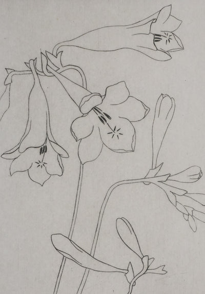 Camille COMBE : Silhouette florale, Gravure originale signée