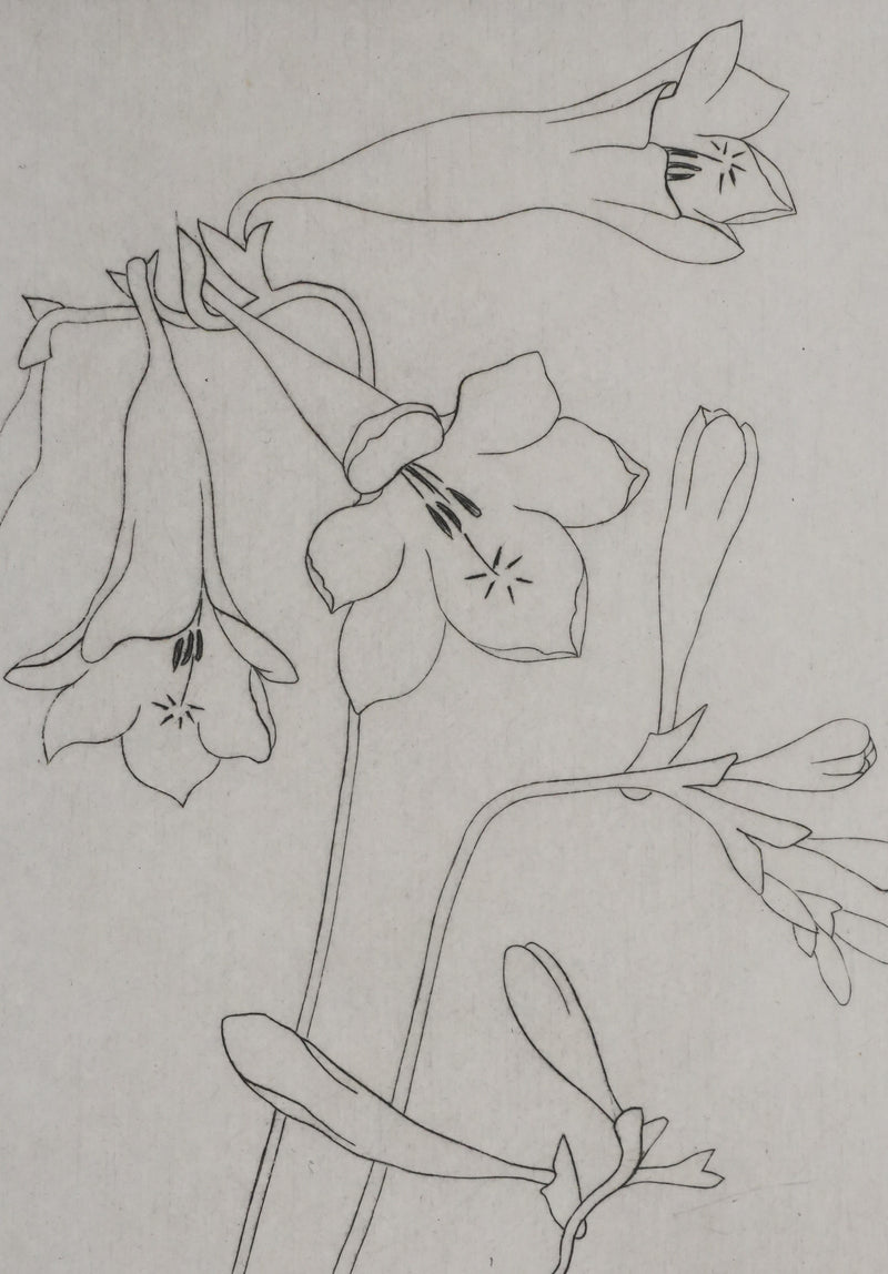 Camille COMBE : Silhouette florale, Gravure originale signée