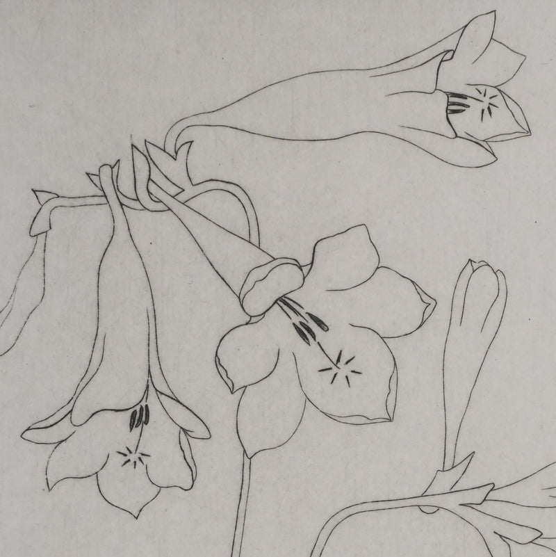 Camille COMBE : Silhouette florale, Gravure originale signée