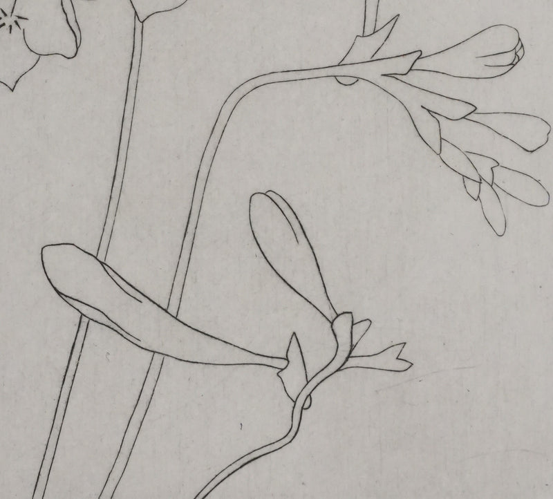 Camille COMBE : Silhouette florale, Gravure originale signée