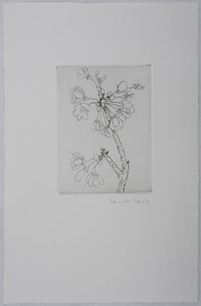 Camille COMBE : Eclosion, Gravure originale signée