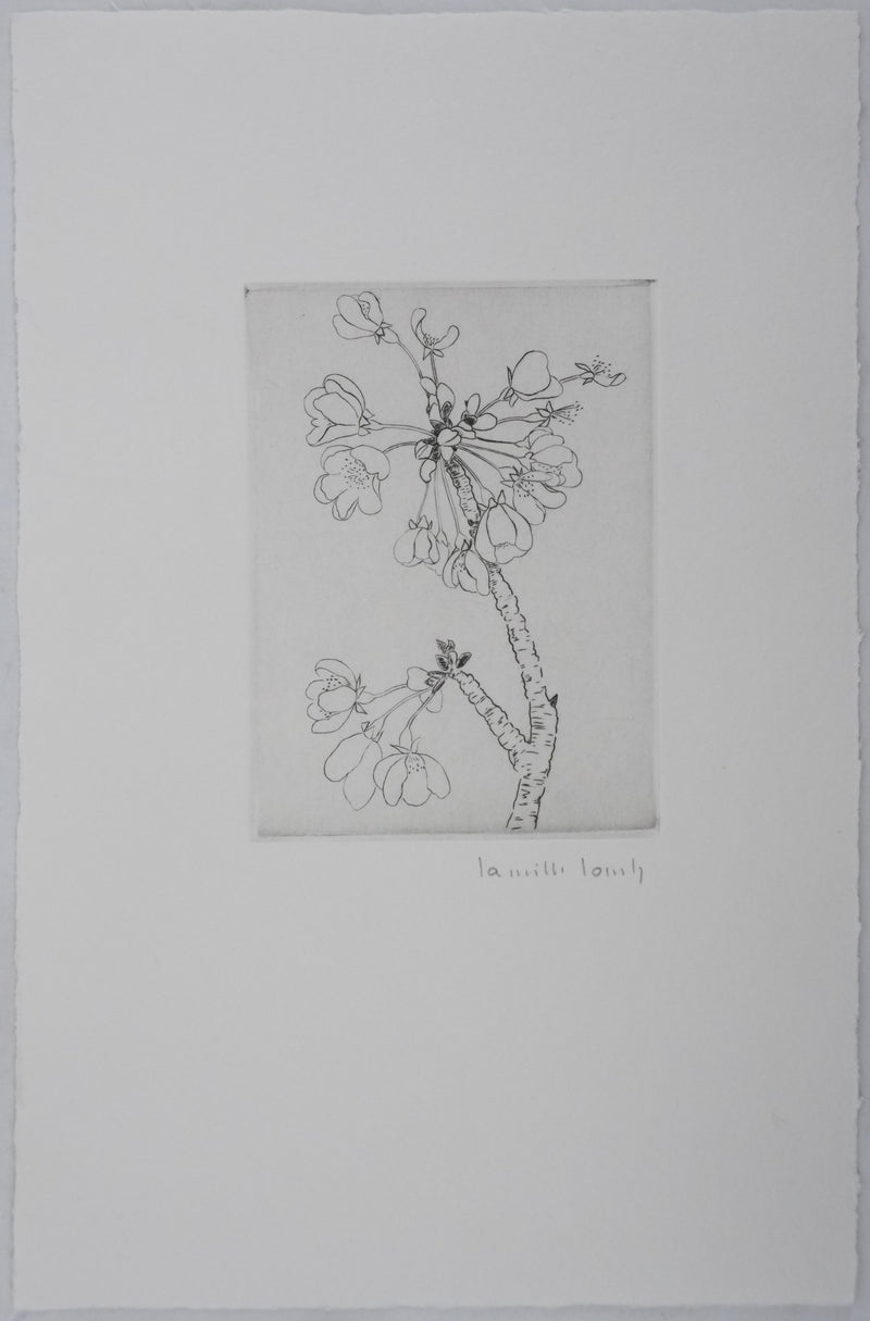 Camille COMBE : Eclosion, Gravure originale signée