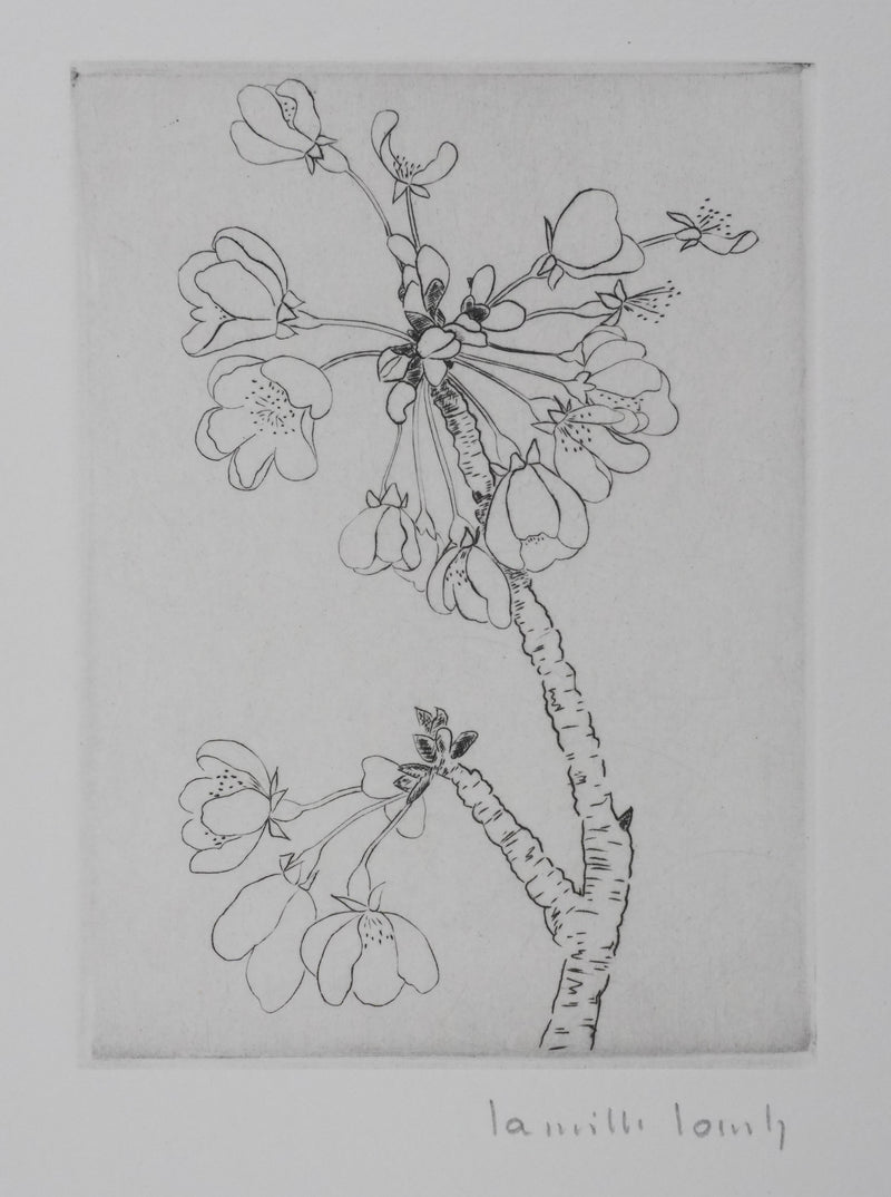 Camille COMBE : Eclosion, Gravure originale signée
