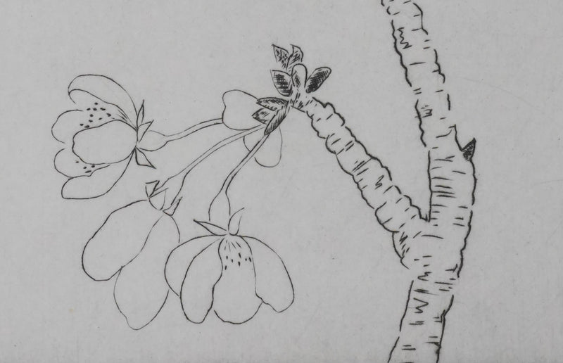 Camille COMBE : Eclosion, Gravure originale signée