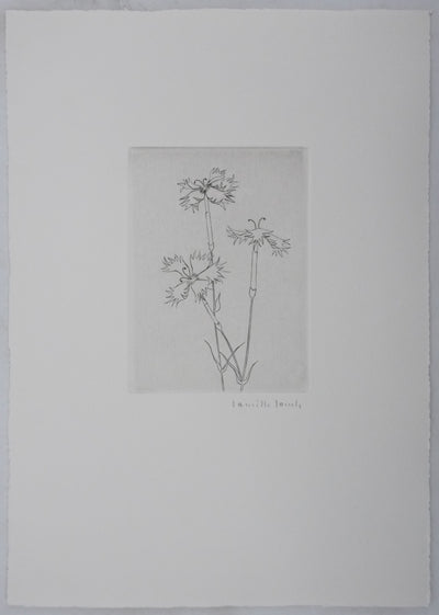 Camille COMBE : Dentelle végétale, Gravure originale signée